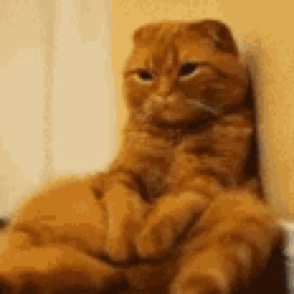 Meet your Posher, Devon